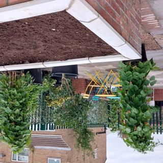 Whinfell Communal Hall garden