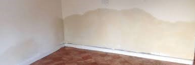 A photo of rising damp on a wall in a home