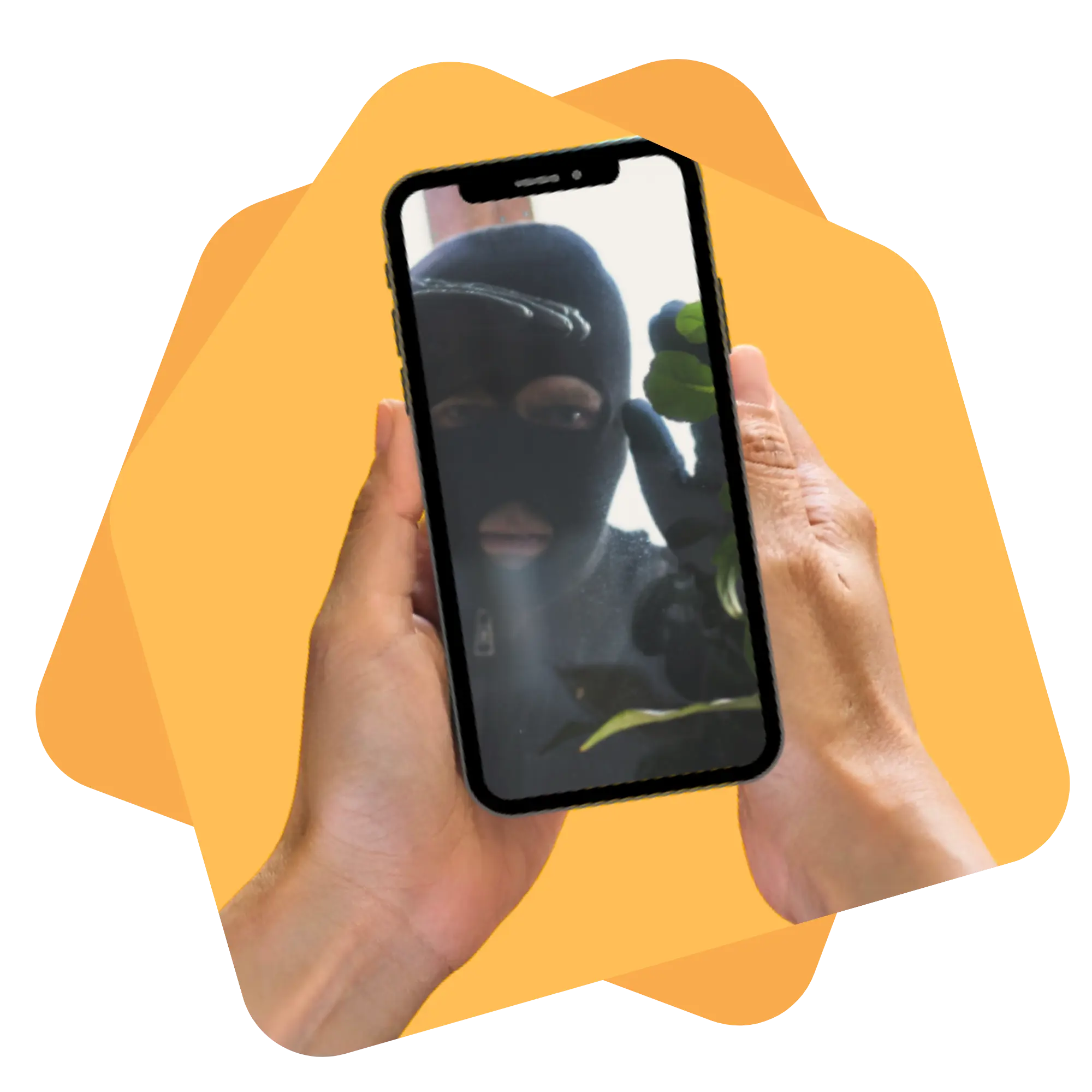 Intruder caught on phone, in house frame